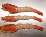 贅沢エビフライを卵でとじる絶品鎌倉丼作り方2写真