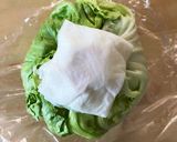 最強！1週間以上シャキッとレタスの保存法作り方2写真