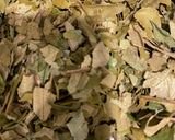 オーブンで速乾 柿の葉茶作り方4写真