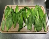 アイヌネギ のハーブパウダー作り方1写真