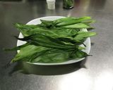 アイヌネギ のハーブパウダー作り方6写真