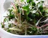 うちのぶっかけうどん作り方2写真