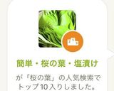 簡単・桜の葉・塩漬け作り方1写真