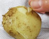 シンプル☆じゃが芋とひき肉のコロッケ作り方8写真