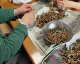 つくしの佃煮作り方1写真