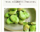 ★豆が飛び出す　そら豆の塩ゆで　茹で方作り方10写真