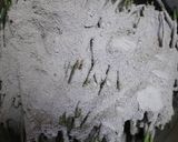 灰汁わらびの作りかた作り方2写真