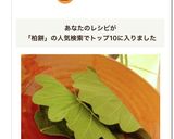 愛情たっぷりのよもぎ柏餅作り方6写真