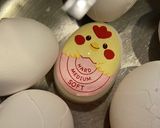 (人気の角煮レシピから派生)味付け玉子！作り方20写真