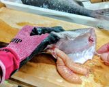 魚のアラを下処理して焼くと、美味し過ぎ~作り方1写真
