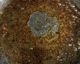 めかじきのソテー作り方8写真