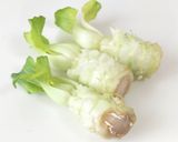 イカとチンゲン菜炒め作り方4写真