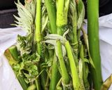 山ウドの下処理方法作り方1写真