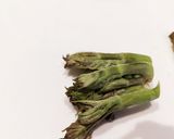 タラの芽の下処理方法作り方3写真