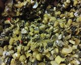 からし菜漬け 炒め作り方3写真