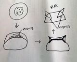 もちもち水餃子作り方9写真