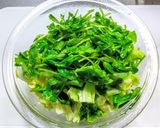 春キャベツと豆苗とツナのサラダ作り方4写真