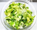 春キャベツと豆苗とツナのサラダ作り方5写真