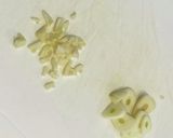 たっぷりタケノコのペペロンチーノ作り方2写真