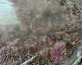 花のシロップ作り方3写真