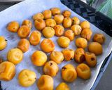 【ジッパー袋で簡単】＼さっぱり／梅干し作り方10写真
