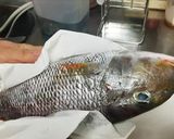 アクアパッツァ作り方5写真