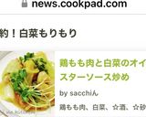 鶏もも肉と白菜のオイスターソース炒め作り方7写真