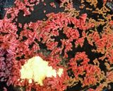 高菜の甘辛そぼろ作り方1写真
