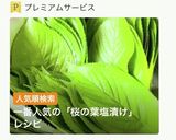 簡単・桜の葉・塩漬け作り方2写真