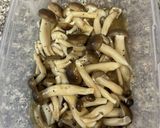 しめじのレンチン蒸し(中華風)作り方2写真