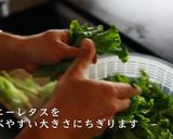 フランス料理の人気サラダ！ニース風サラダ作り方1写真