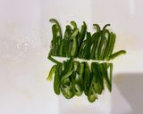 こんにゃくのきんぴら作り方3写真