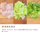 犬ご飯/春野菜のデトックスソースがけ作り方2写真