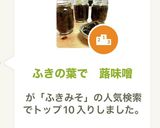 ふきの葉で 蕗味噌作り方11写真
