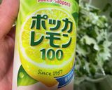 かぶと新玉葱とトマトのマリネ〜訪問介護編作り方8写真