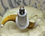 レンジで牛乳からクリームチーズ作り方8写真