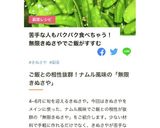 我が家の無限絹さや作り方7写真