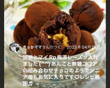 和風トリュフ　安心安全安く賢くダイエット作り方13写真