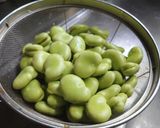 そら豆とエビの春巻き作り方1写真