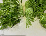 豆苗ともやしの簡単炒め作り方1写真