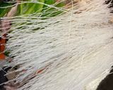 豚こまチャプチェ作り方6写真