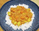 ジャガイモとニンジンのドライカレー作り方16写真