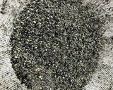 基本のごま塩(トミタ式7号食中)作り方4写真
