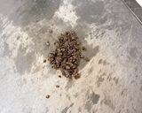鶏ささみソテー♪豆豉ソースで作り方2写真