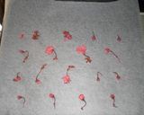 桜☆和風ロールケーキ作り方1写真
