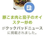豚こま肉と茄子のオイスター炒め作り方11写真