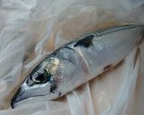 味噌が香る♪　サバの味噌煮作り方1写真
