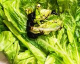 佃煮キャベチーロール　ダイエットですよ！作り方8写真