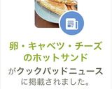 卵・キャベツ・チーズのホットサンド作り方22写真