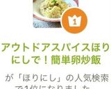 アウトドアスパイスほりにしで！簡単卵炒飯作り方13写真